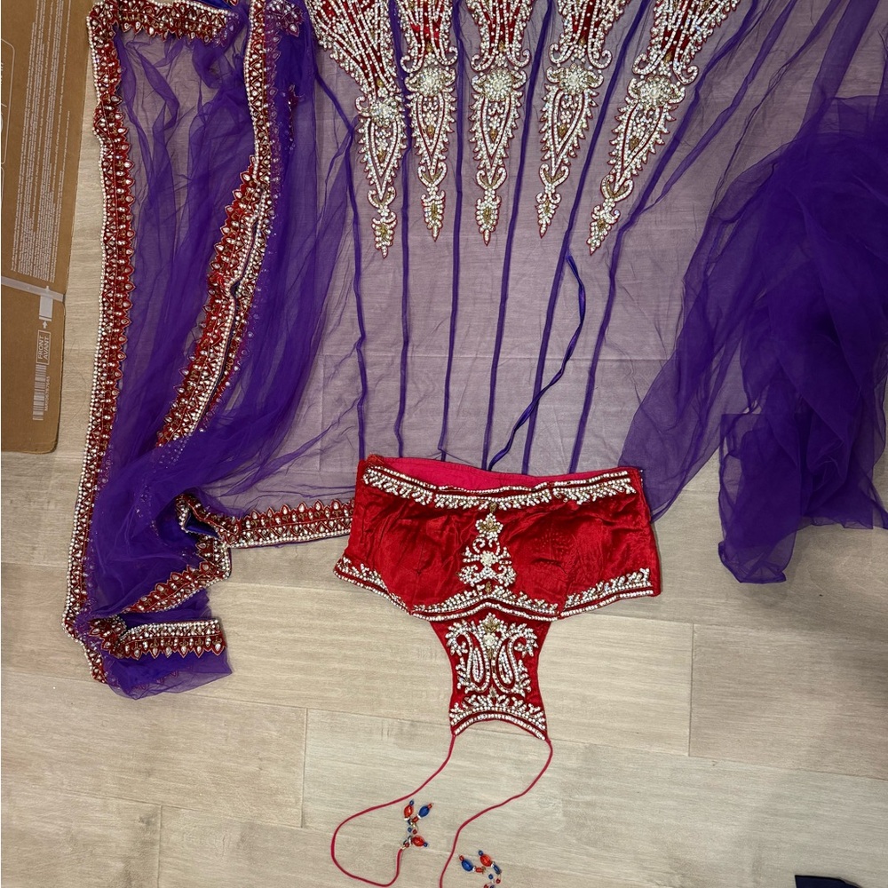 Purple Sheer Saree with Red Embellished Blouse